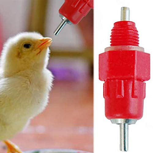 DICPOLIA Pet Supplies Automatic Chicken Feeders  Water Nipple Drinker Poultry Hen Screw Style (Red)